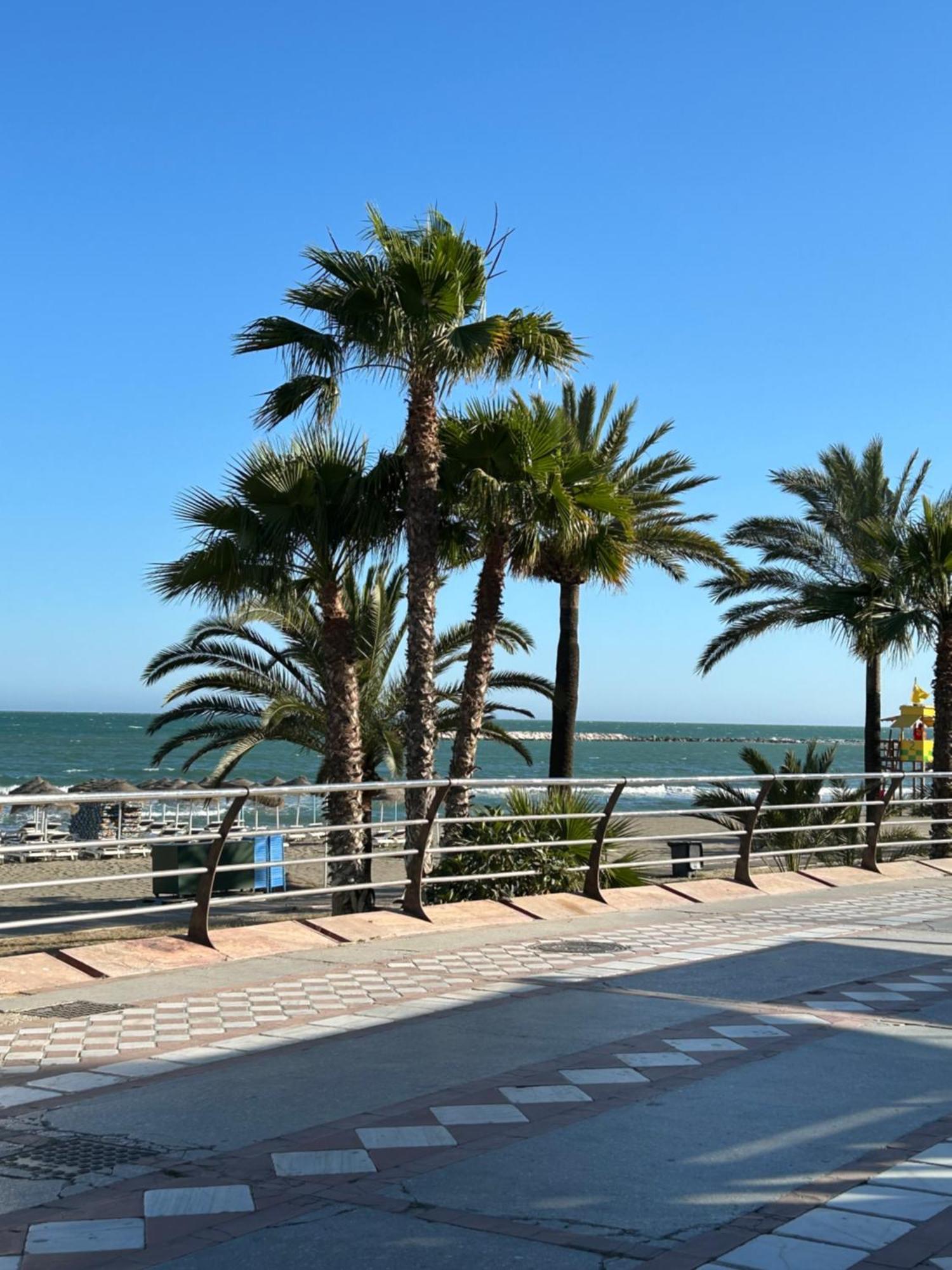 Sunterrace Minerva Apartamento *
